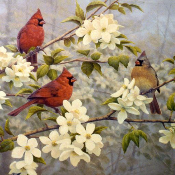 Cardinals & Apple Blossoms Panel (35.5"x44") Quilting Cotton Fabric