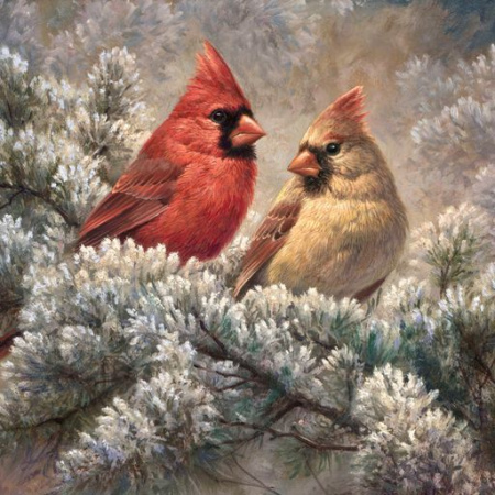 Cardinal Couple Panel (35.5"x44") Quilting Cotton Fabric